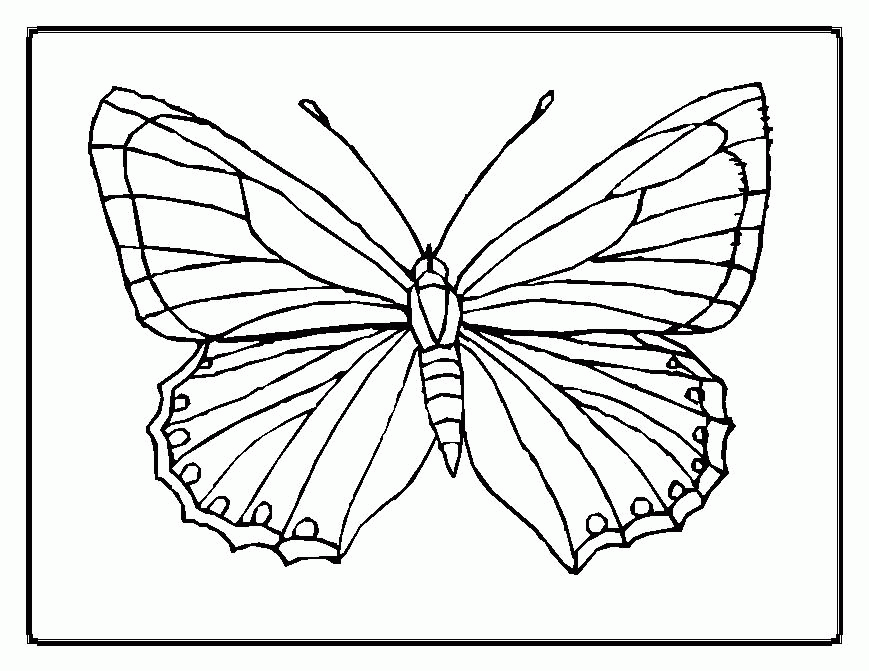 A Picture of a Butterfly Printable Sheets Free Butterfly Coloring 2021 a 0289 Coloring4free