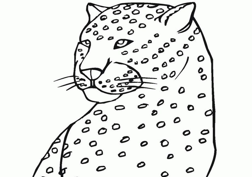 A Picture of a Cheetah Printable Sheets Baby Cheetah Page Images 2021 a 0291 Coloring4free