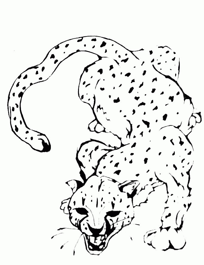 A Picture of a Cheetah Printable Sheets cheetah tat by djangelboy on 2021 a 0296 Coloring4free
