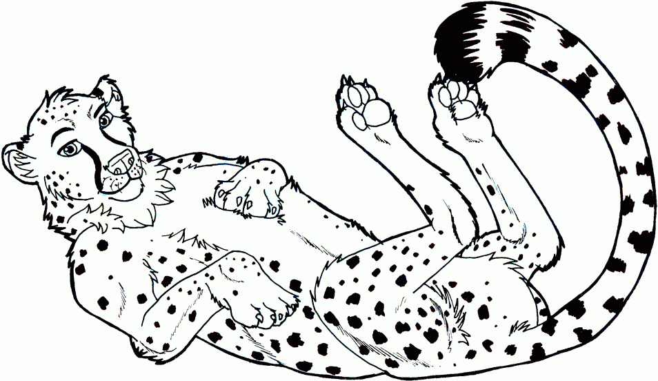 A Picture of a Cheetah Printable Sheets commission cheetah lineart by gif 2021 a 0298 Coloring4free