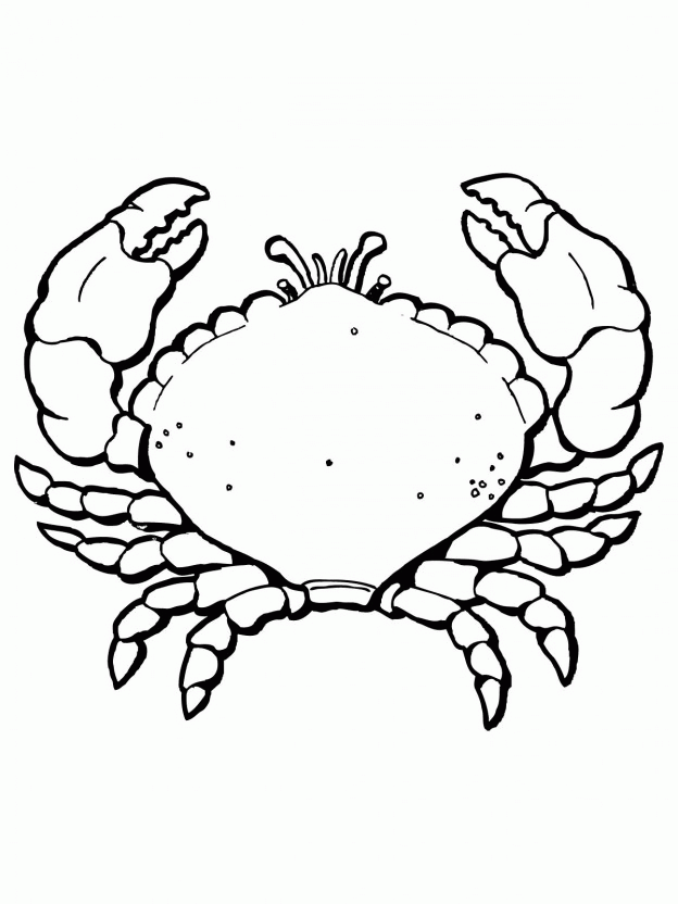 A Picture of a Crab Printable Sheets blue crab Colouring gif 2021 a 0302 Coloring4free