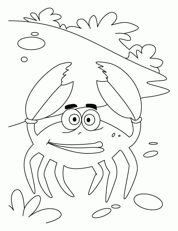 A Picture of a Crab Printable Sheets crackling crab Download 2021 a 0317 Coloring4free