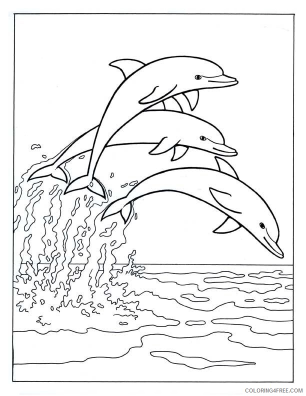 A Picture of a Dolphin Printable Sheets Dolphin Animal Pages 2021 a 0325 Coloring4free