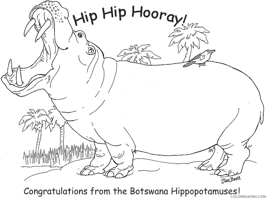 A Picture of a Hippo Printable Sheets Congratulations from the Botswana Hippos 2021 a 0354 Coloring4free