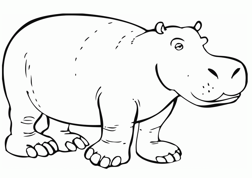 A Picture of a Hippo Printable Sheets Free Printable Hippo Pages 2021 a 0358 Coloring4free