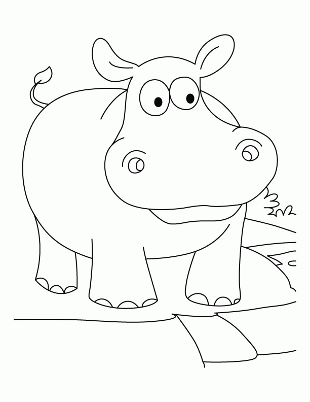 A Picture of a Hippo Printable Sheets Hippo 4 gif 2021 a 0364 Coloring4free