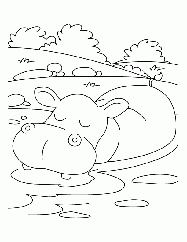 A Picture of a Hippo Printable Sheets Hippopotamus in relaxing mood coloring 2021 a Coloring4free