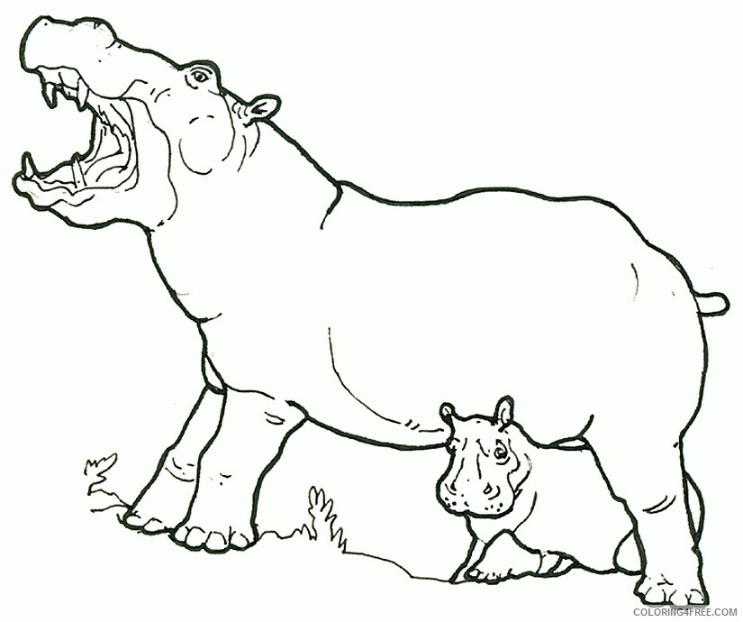 A Picture of a Hippo Printable Sheets Mural Honey Honey Lion Hippo 2021 a 0376 Coloring4free