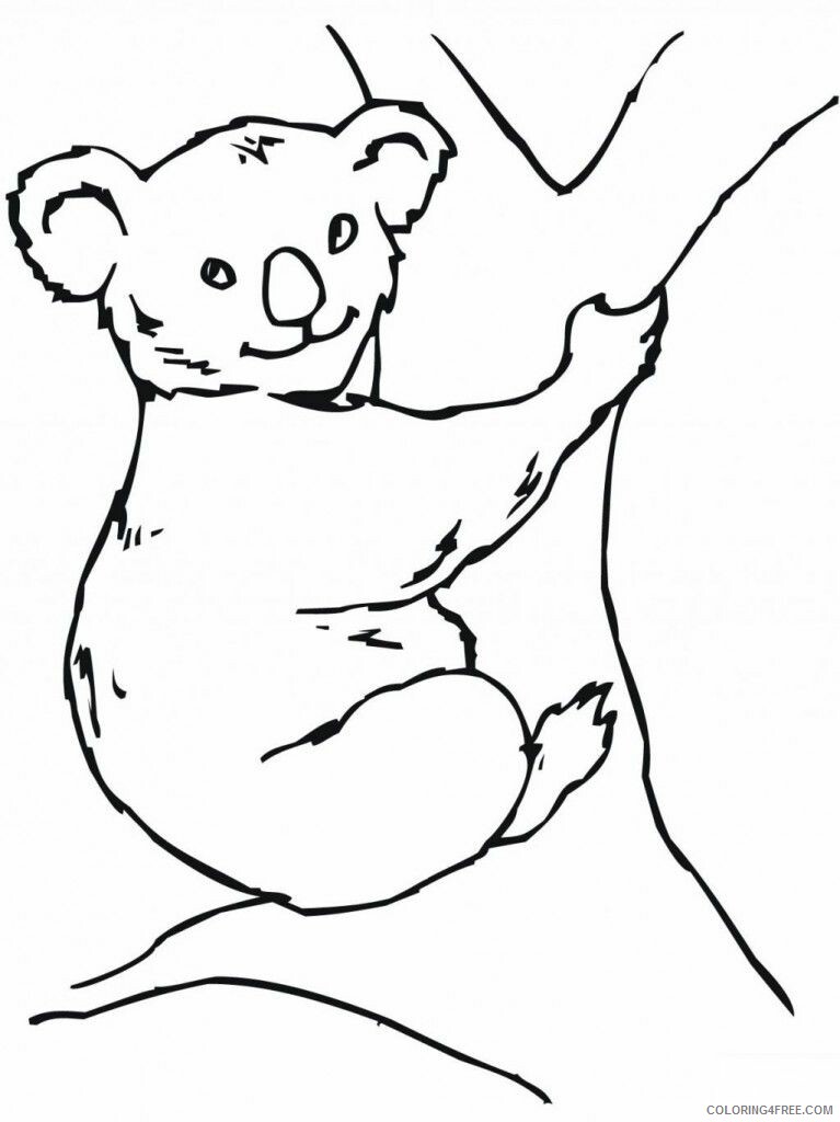 A Picture of a Koala Printable Sheets Free Printable Koala Page 2021 a 0383 Coloring4free