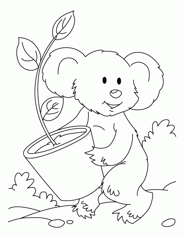A Picture of a Koala Printable Sheets Free Printable Koala Pages 2021 a 0386 Coloring4free