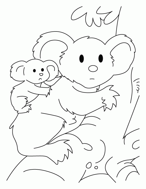 A Picture of a Koala Printable Sheets Koala with joey pages 2021 a 0399 Coloring4free