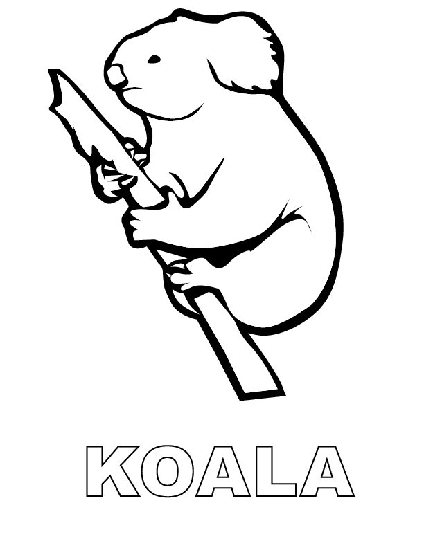 A Picture of a Koala Printable Sheets koala printable in pages 2021 a 0398 Coloring4free