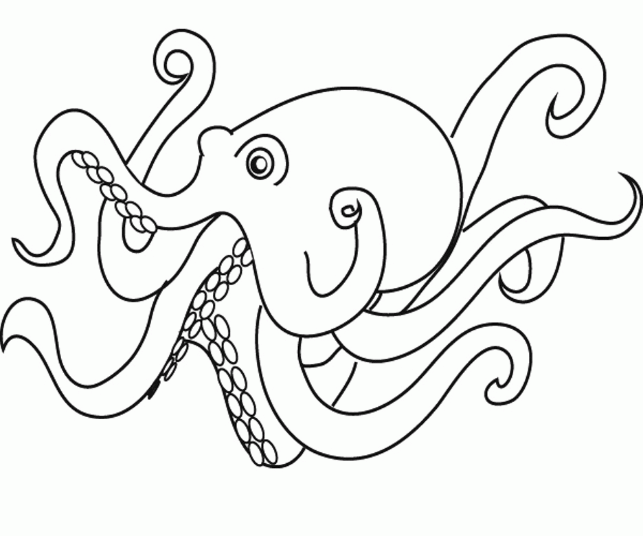 A Picture of a Octopus Printable Sheets Download Animal Octopus Page 2021 a 0418 Coloring4free