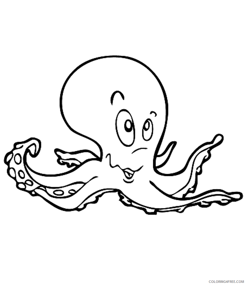 A Picture of a Octopus Printable Sheets Download Kids Octopus Page 2021 a 0419 Coloring4free