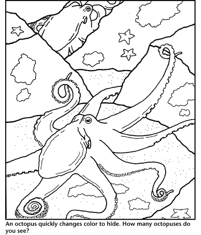 A Picture of a Octopus Printable Sheets Free Printable Octopus Pages 2021 a 0421 Coloring4free