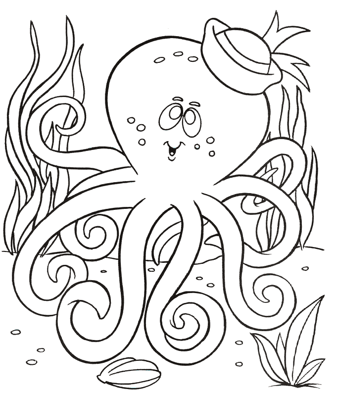 A Picture of a Octopus Printable Sheets Free Printable Octopus Pages 2021 a 0423 Coloring4free