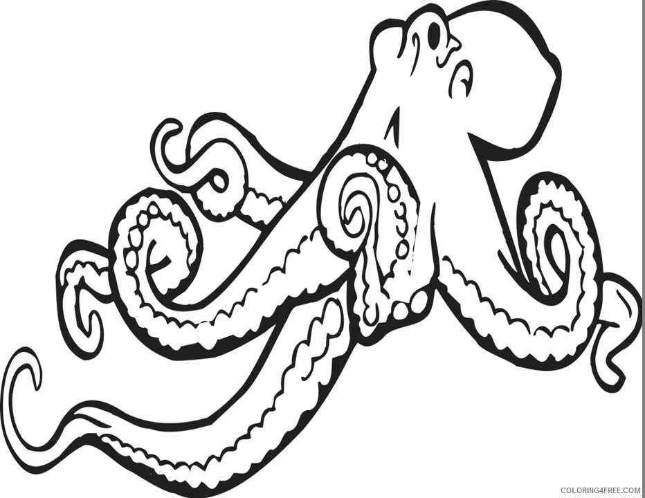 A Picture of a Octopus Printable Sheets Printable Octopus animalgals 2021 a 0436 Coloring4free
