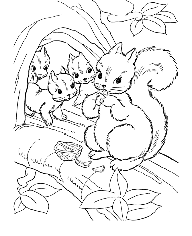 A Picture of a Squirrel Printable Sheets Squirrel For Kids 2021 a 0445 Coloring4free