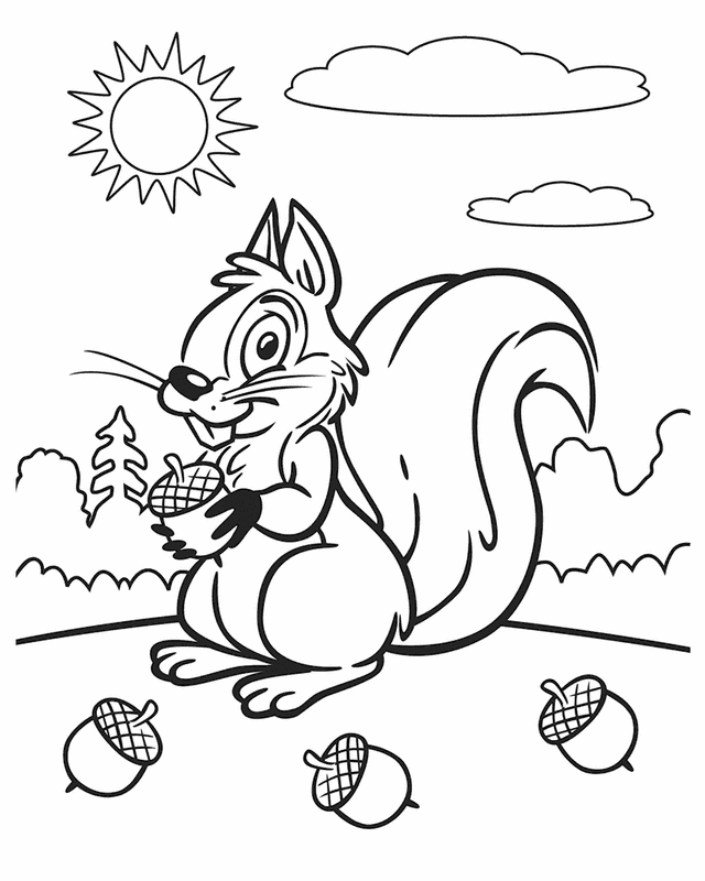 A Picture of a Squirrel Printable Sheets Squirrel on a sunny day 2021 a 0447 Coloring4free