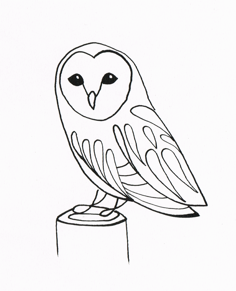 A Picture of an Owl Printable Sheets Barn Owl Line Art Images 2021 a 0507 Coloring4free