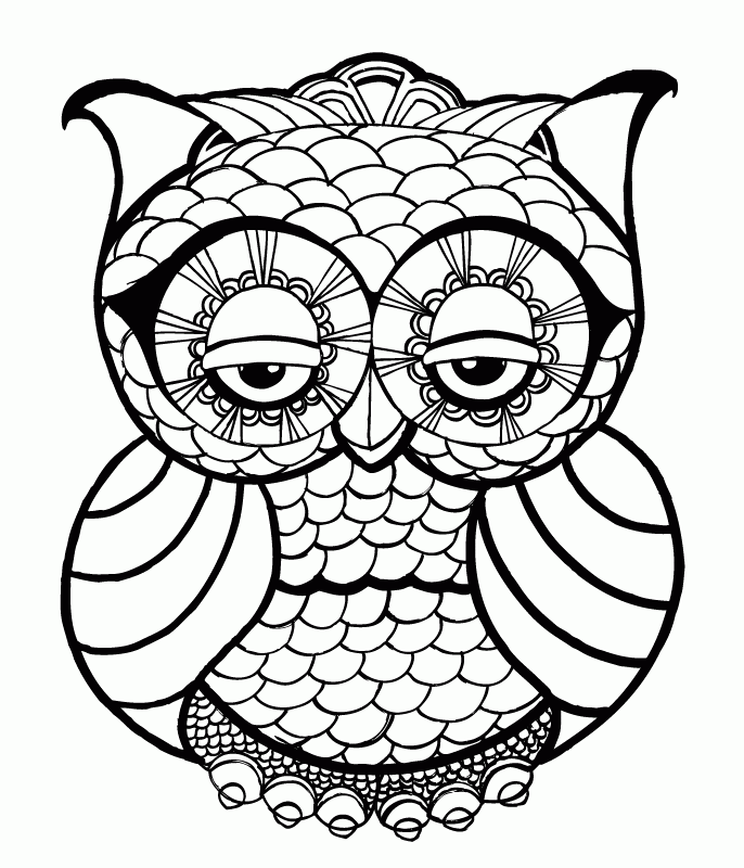 A Picture of an Owl Printable Sheets Owl Face Drawing gif 2021 a 0513 Coloring4free