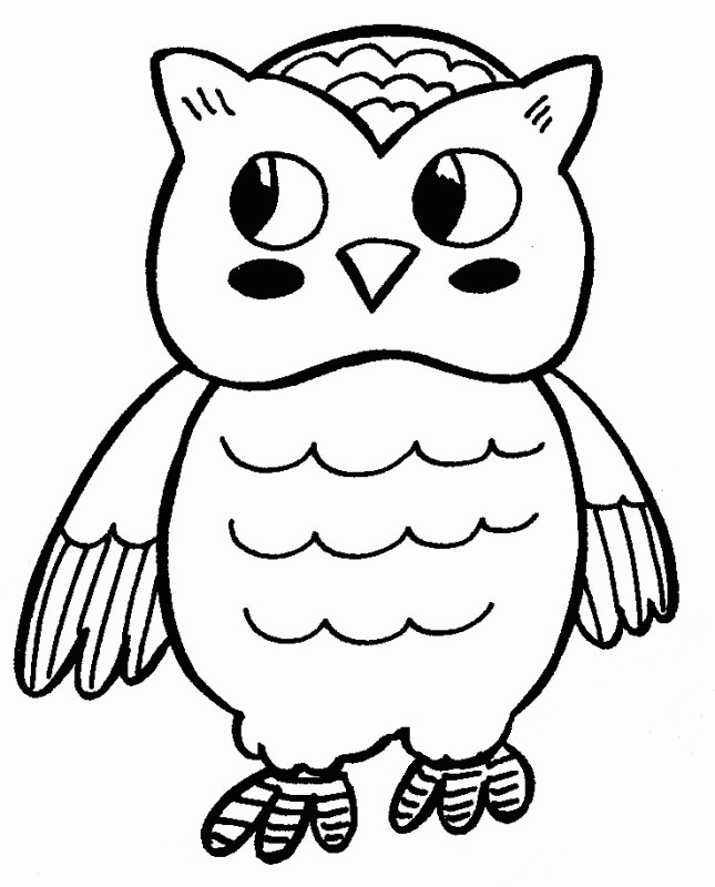 A Picture of an Owl Printable Sheets Owl gif 2021 a 0511 Coloring4free