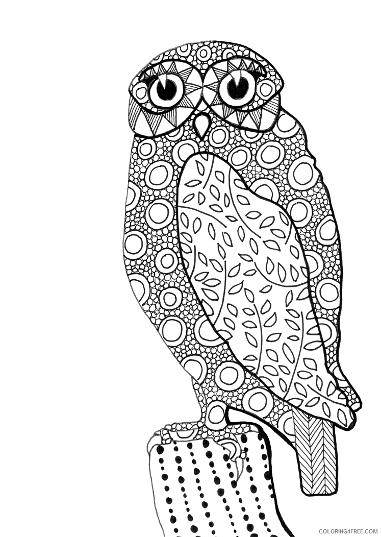 A Picture of an Owl Printable Sheets owl drawing Archives Eclectic 2021 a 0512 Coloring4free