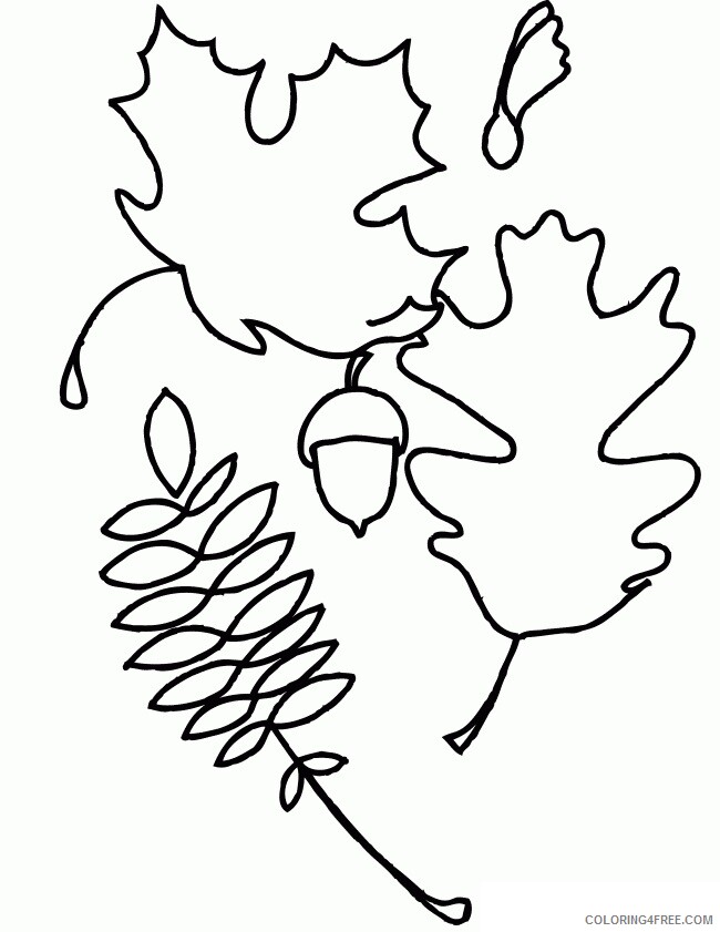 Acorn Coloring Page Printable Sheets Oak Maple and Walnut Leaves 2021 a 1456 Coloring4free