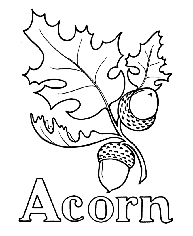 Acorn Coloring Pages for Kids Printable Sheets Acorns C0lor gif 2021 a 1463 Coloring4free