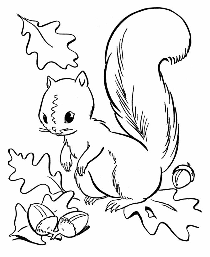 Acorn Coloring Pages for Kids Printable Sheets Fall Squirrel Collecting 2021 a 1468 Coloring4free