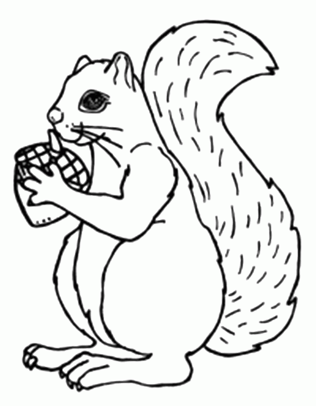 Acorn Coloring Pages for Kids Printable Sheets Squirrel Love Acorn Pages 2021 a 1472 Coloring4free