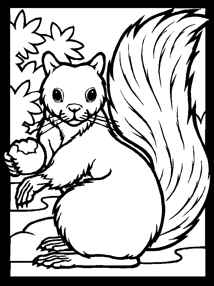 Acorn Coloring Pages for Kids Printable Sheets Squirrels 1 gif 2021 a 1473 Coloring4free