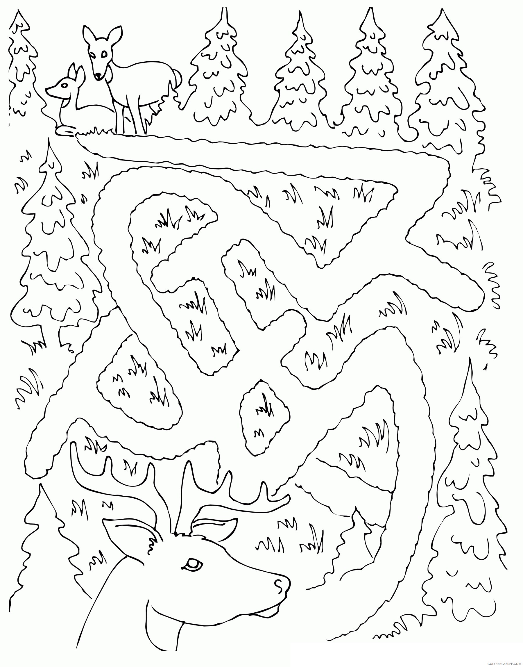 Activity Coloring Page Printable Sheets Deer Maze Activity Sheet 2021 a 1511 Coloring4free