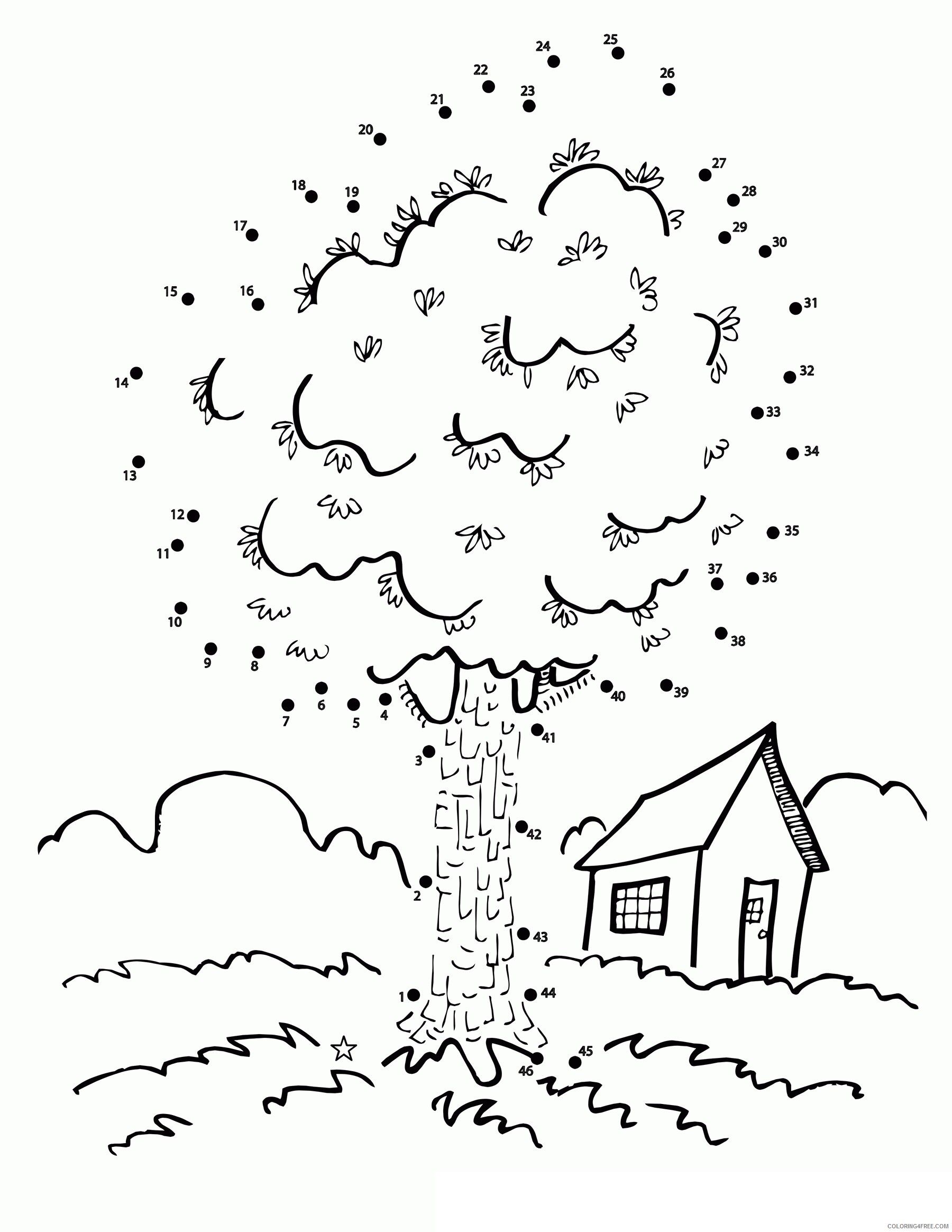 Activity Coloring Page Printable Sheets Maple Tree Activity Page 2021 a 1521 Coloring4free