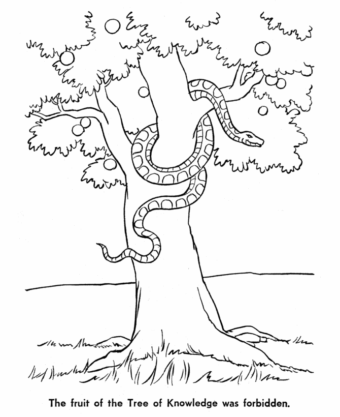 Adam And Eve Coloring Page Printable Sheets eve in the garden Colouring 2021 a 1596 Coloring4free