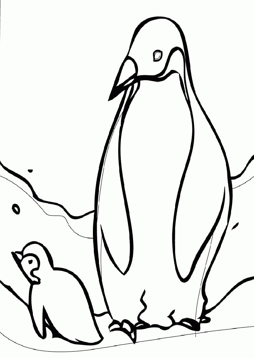 Adelie Penguin Coloring Page Printable Sheets Adelie Penguin Best 2021 a 1695 Coloring4free