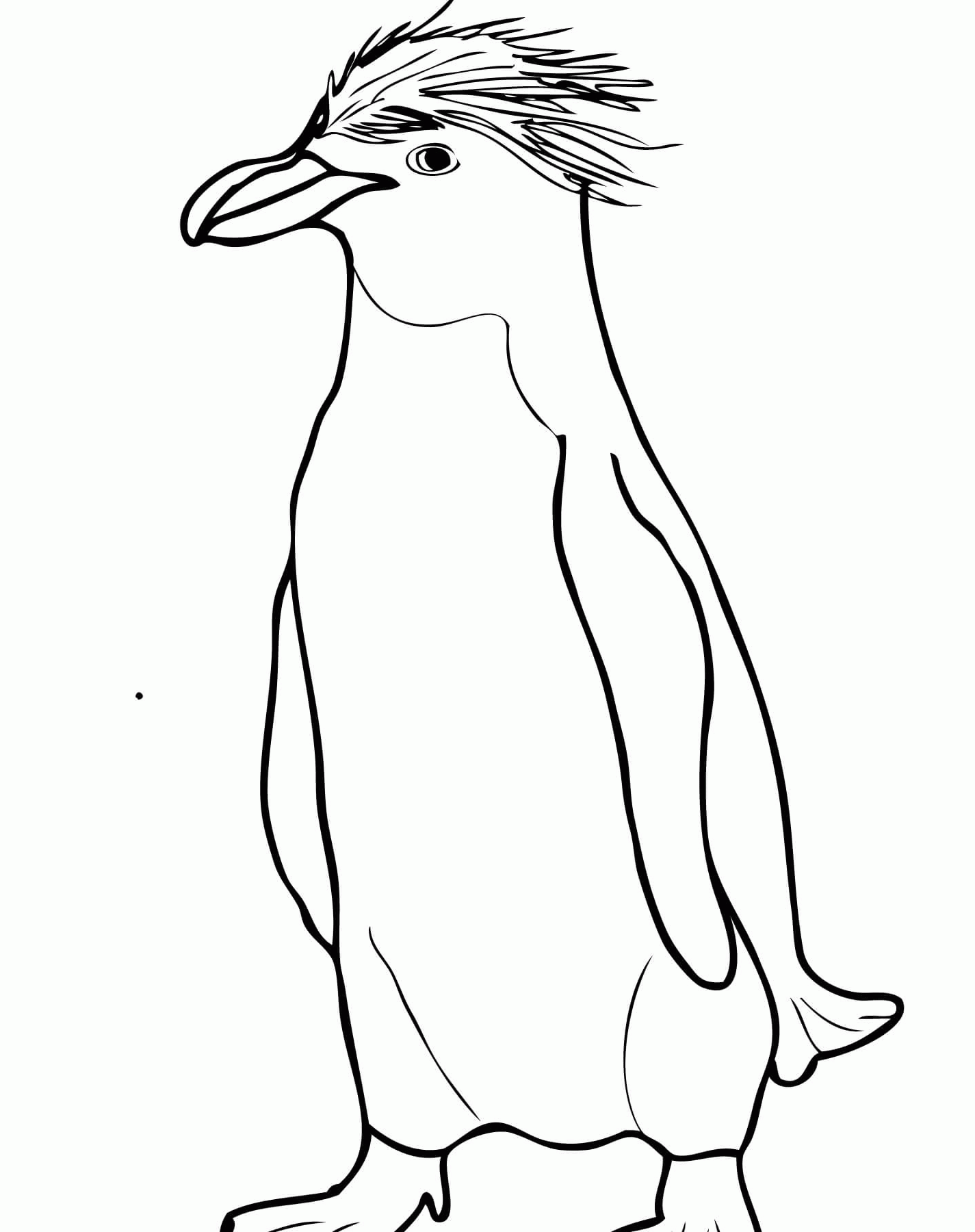 Adelie Penguin Coloring Page Printable Sheets Animal Picture Society gif 2021 a 1696 Coloring4free
