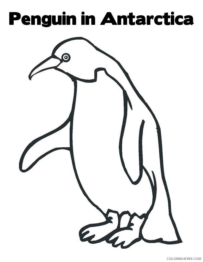 Adelie Penguin Coloring Page Printable Sheets Antarctica Penguin Page Coloring 2021 a 1697 Coloring4free