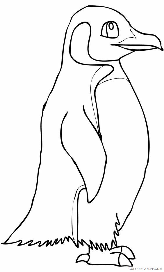 Adelie Penguin Coloring Page Printable Sheets Cute King Penguin Page 2021 a 1698 Coloring4free