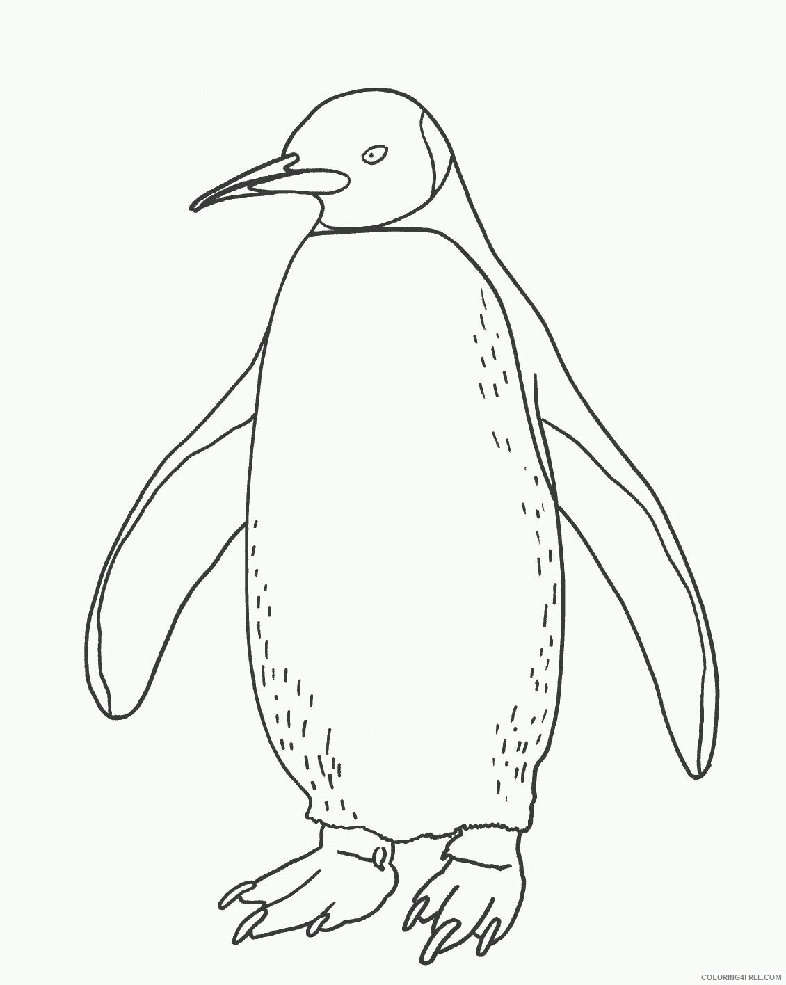Adelie Penguin Coloring Page Printable Sheets Proficiency Gentoo Penguin Page 2021 a 1703 Coloring4free