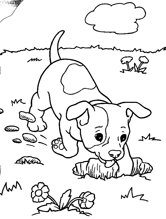 Adorable Puppy Coloring Pages Printable Sheets Pitbull Puppy for 2021 a 1721 Coloring4free