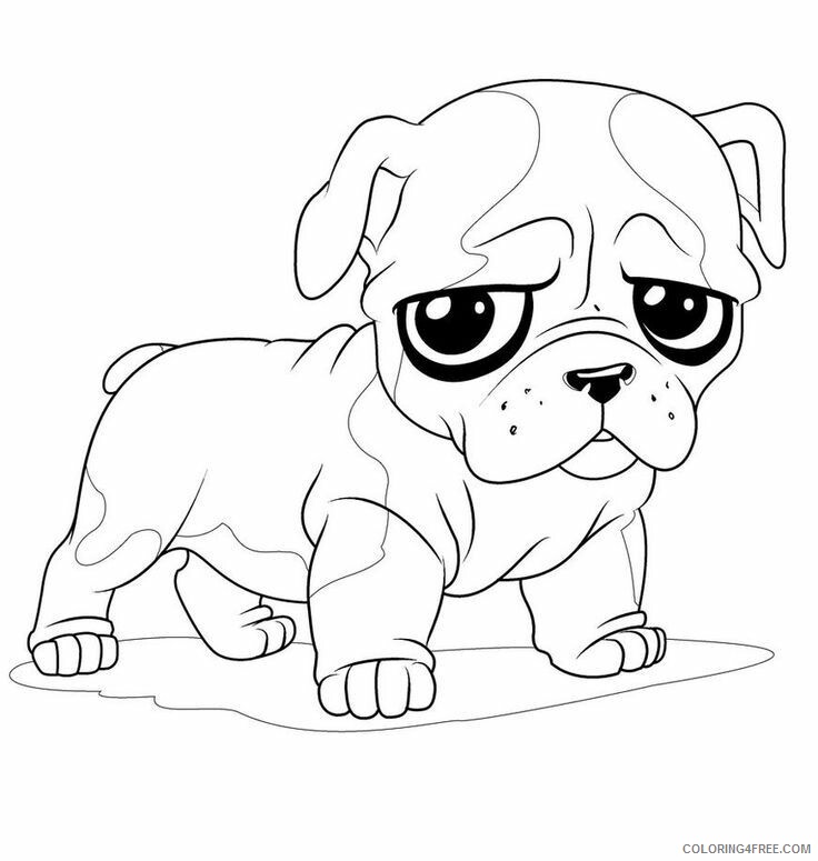 Adorable Puppy Coloring Pages Printable Sheets Pug to col9r soon Mandala 2021 a 1725 Coloring4free