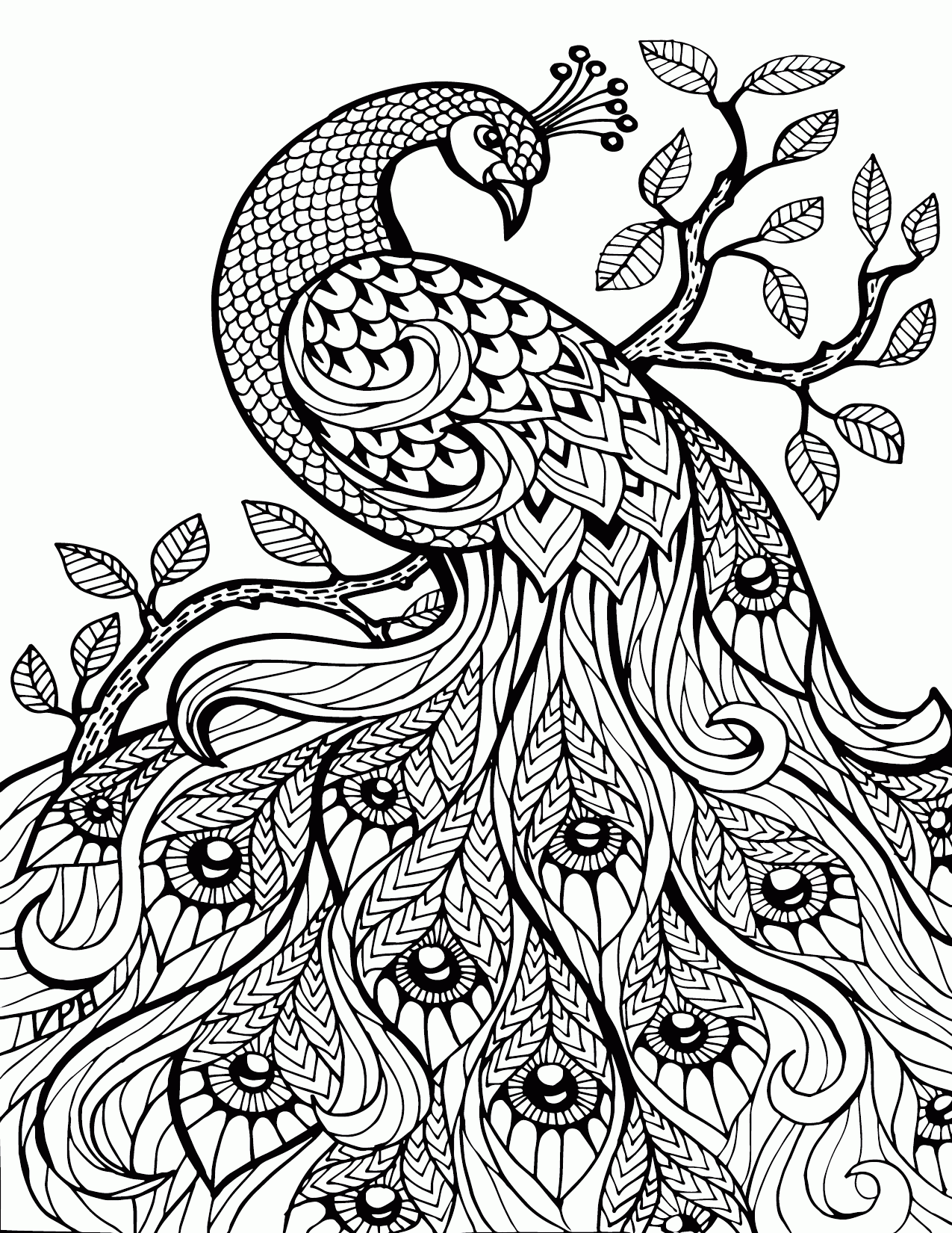Adult Animal Coloring Pages Printable Sheets Animal For Adults Pages 2021 a 1739 Coloring4free