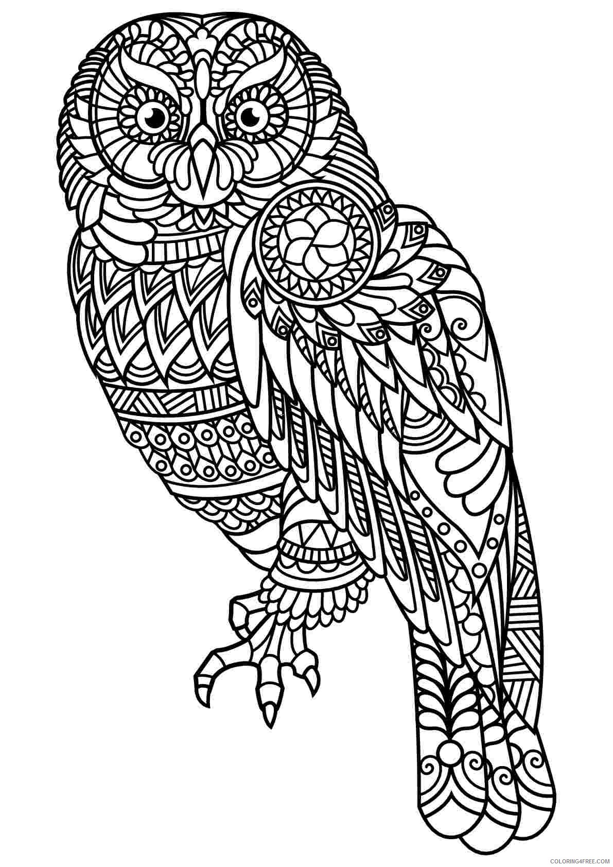 Adult Animal Coloring Pages Printable Sheets Animal Sheets For Adults 2021 a 1738 Coloring4free