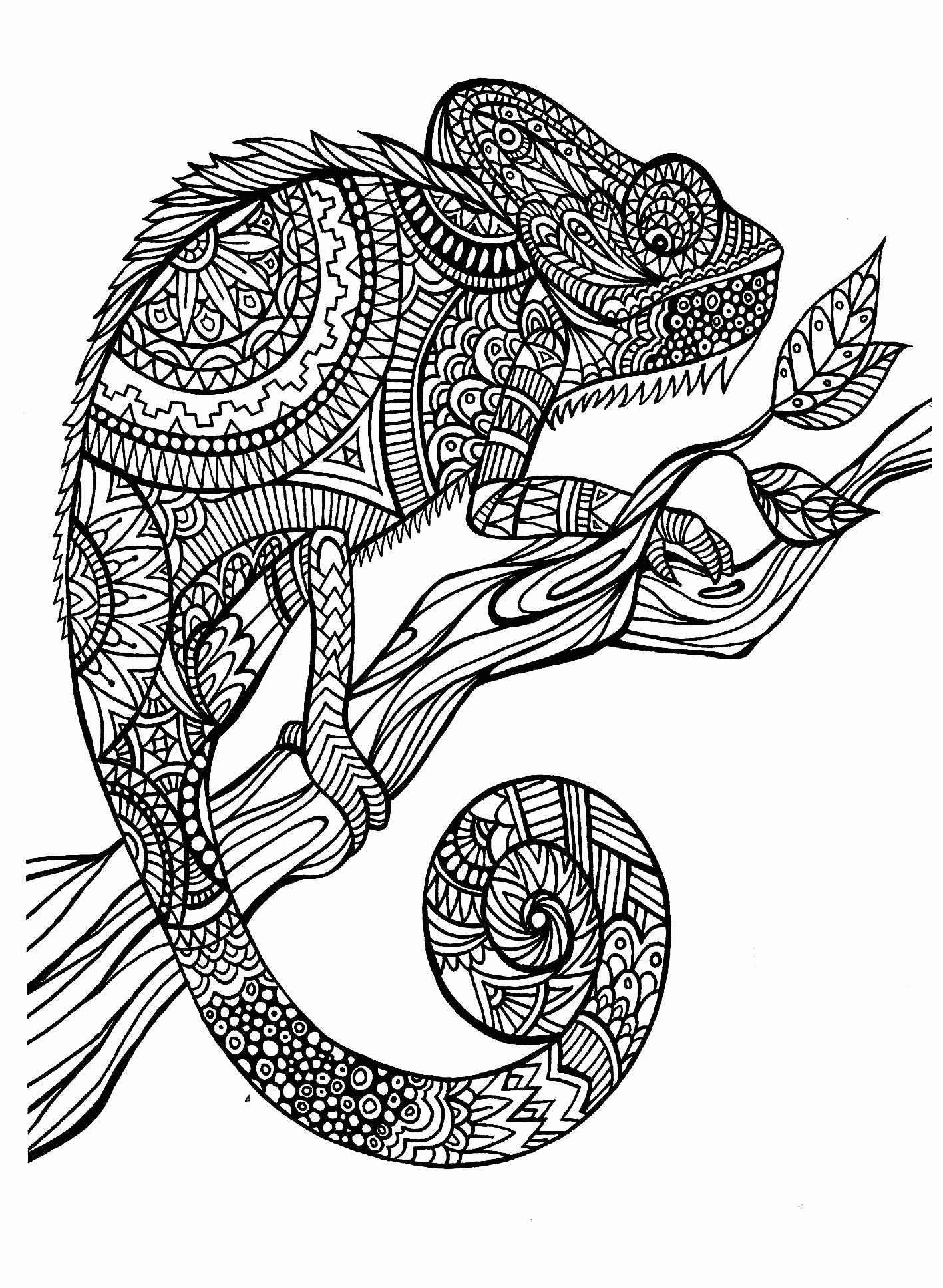 Adult Animal Coloring Pages Printable Sheets Animal for adults 2021 a 1735 Coloring4free