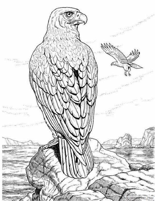 Adult Animal Coloring Pages Printable Sheets Realistic Animal Ideas 2021 a 1753 Coloring4free