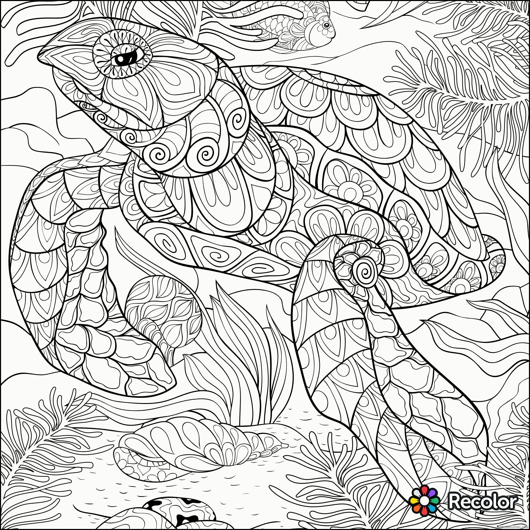 Adult Animal Coloring Pages Printable Sheets Turtle page Recolor app 2021 a 1754 Coloring4free