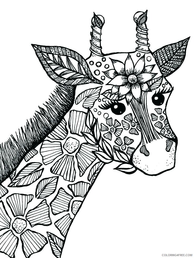 Adult Animals Coloring Pages Printable Sheets Animal For Adults 2021 a 1767 Coloring4free