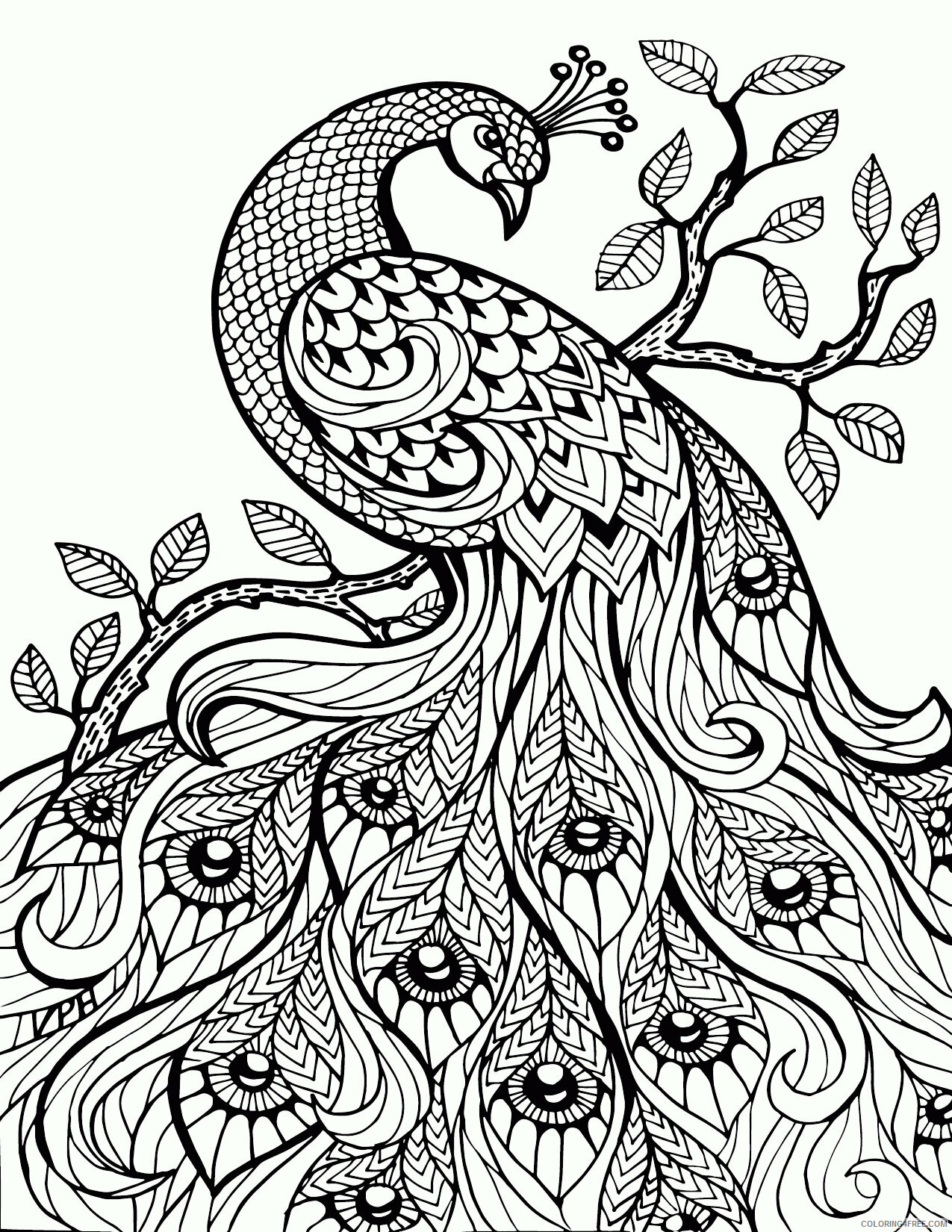 Adult Animals Coloring Pages Printable Sheets Animal For Adults Pages 2021 a 1773 Coloring4free