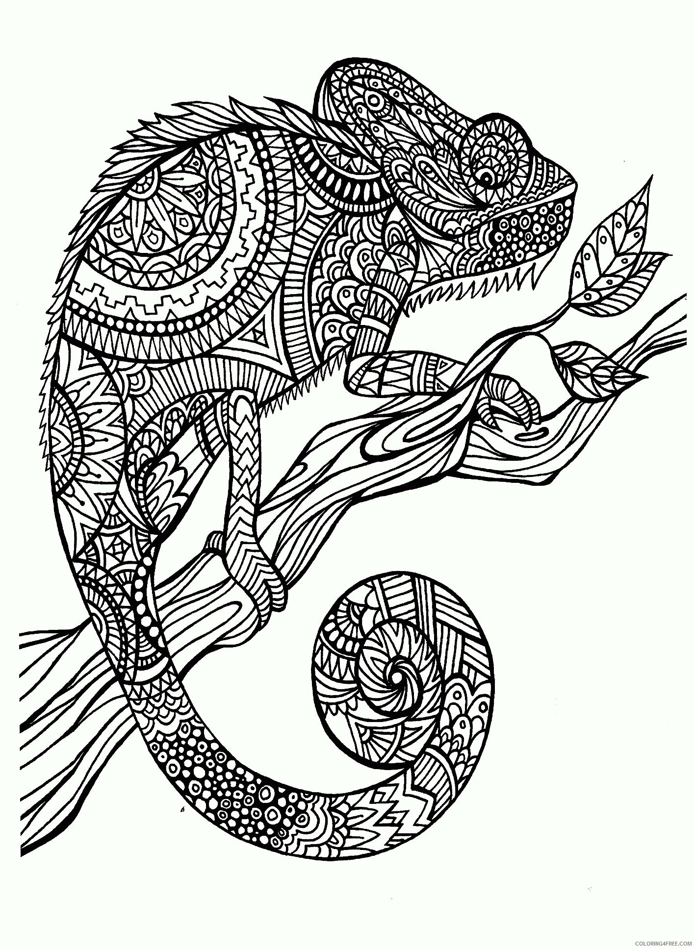 Adult Animals Coloring Pages Printable Sheets Animal for adults 2021 a 1766 Coloring4free